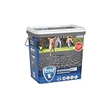 FUGLI Pflasterfugenmörtel 12,5 kg Natursand
