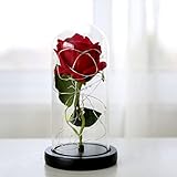 Galaxy Rose konservierte Blume in transparenter Glaskuppelabdeckung mit LED-Lichterkette,...