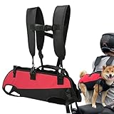 SIGHTER CANGE VOLLER KÖRPER MIT GRIFFEN | Gestro für Rehabilitationsheber für Tiere Das...