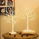 DELICHTER 2er Set Lichterbaum mit 24 Warmweißen LEDs Birken Bäumchen mit Timer-Funktion Dekozweige...