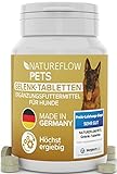 Gelenktabletten Hunde – Vergleich SEHR GUT Made in Germany mit Grünlippmuschel, MSM und...