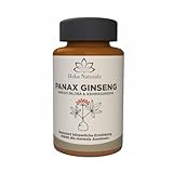 Heka Naturals Panax Ginseng Komplex | 90 Kapseln mit Koreanischem Ginseng, Ginkgo Biloba,...