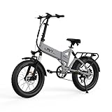 PVY E Bike Klapprad, Elektrofahrrad mit 48V 16,5Ah Akku 25km/h 7-Gang bis120 km 20×4,0 Zoll Fette...