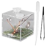 VILLCASE Springspinne Terrarium, Acryl Spinnen Terrarium Transparent Reptilien-Zuchtbox Schnecken...