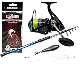 Angel Berger Saltline Brandungscombo Brandungsset mit Zubehör Brandungsrute Meeresrolle mit...