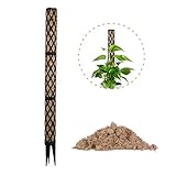PlantMe Rankhilfe Zimmerpflanze – Rankhilfen für Kletterpflanzen , Monstera , Efeutute , Moosstab...