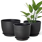 Gardrium Kunststoff Blumentopf Pflanzentopfs mit Untersetzer (25,4-22,9-20,3 cm) 3er-Set, Plastik...