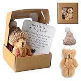 Pocket Hug Positive Mini-Teddybär, Bär In Einer Box Mini-Plüsch Figuren Lustige Teddy-bär Puppe...