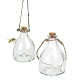 Glas Wespenfalle 2er Set, mit Aufhänger zum Stellen oder Hängen, befüllbar mit Lockstoff,...