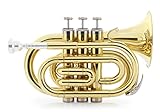 Classic Cantabile Brass TT-500 Bb-Taschentrompete Messing - Trompete im Taschenformat - Messing...