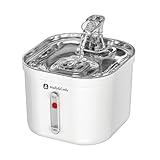 Molly&Cody Spring Trinkbrunnen für Katzen & Hunde (2L Wasserkapazität, automatischer...