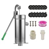 Well-Handpumpe – Grundwasserpumpe im Vintage-Stil, manuelles Design | tiefgehende Handpumpe,...