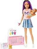 Barbie Skipper Babysitter Inc, Skipper Big Babysitting Adventure, Skipper mit braunen Haaren und...