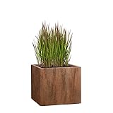 Pflanzwerk® Pflanzkübel Fiberglas Cube Rost Braun 23x23x23cm XXL *Frostbeständig* *UV-Schutz*...