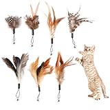 JSMTKJ 8 Stück Cat Feather Toys Ersatz Katzen Federspielzeug für Katzen ohne chemische Farbstoffe...