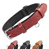 Grand Line Leder Hundehalsband, Lederhalsband Hund mit Weichem Gepolstertes, Breiter und Dicker...