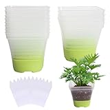 Trendecor 12 Stück Anzuchttöpfe, Pflanztöpfe Transparent mit Silikonsockel 8cm mit...