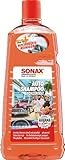 SONAX AutoShampoo Konzentrat Havana Love (2 Liter) durchdringt und löst Schmutz gründlich, ohne...