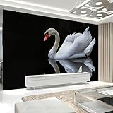 Fototapete Niedlicher Weißer Schwan Tapete Wohnzimmer Fototapete Schlafzimmer Kein Klebstoff Echtes...