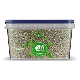 Speed Green Herbs Mash, 3,5 kg, Pferdefutter mit wertvollen Kräutern, melassefrei, ohne...