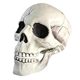 SYTTNUM Halloween Beweglicher Kiefer voller Kopf Schädel,Deko Schädel Jawbone,Realistische Skelett...
