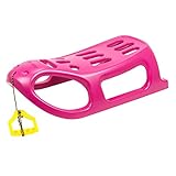 Prosperplast Schlitten Little Seal (doppelwandig und robust, mit Metallkufen; 860x460x250mm, 2,5 kg,...
