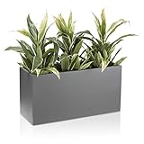 DECORAS Pflanztrog/Blumentrog (Grau-Matt) - Großer, robuster Fiberglas-Blumenkübel für Garten &...