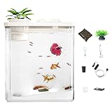 Transparentes Aquarium mit Stimmungslicht und Luftpumpe, modernes kompaktes Aquarium mit...