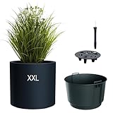 Blumentopf mit Einsatz & Bewässerungssystem – Rund & Modern – Frost- & UV-beständig –...