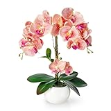 PASCH® Orchideen künstlich in Hochglanz-Keramiktopf (40cm) | Kunstblumen im Topf | Kunstblumen wie...