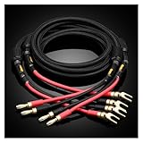 ALNHY EIN Paar HIFI-Lautsprecherkabel aus reinem Kupfer mit versilbertem Nervenkabel,...