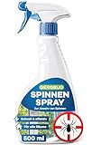 GEROBUG Anti Spinnenspray 500 ml - Spinnenabwehr Spray mit Langzeitwirkung - Mittel gegen Spinnen...