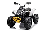 FINOOS Kinder-Elektroquad 24V, Can-am Renegade Kinder-Elektroauto 24V, LED-Leuchten, 24V, 4 x...