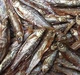 SAHAWA® _ getrocknete Fische für Wasserschildkröten, Fische, Nager, Hunde 1 l = ca. 190 g