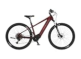 Fischer E-Mountainbike MONTIS 7.0i Elektrofahrrad für Damen und Herren, RH 49 cm, Mittelmotor 70...