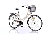 City Bike E5 Trekkingrad Hardtail Damenrad Fahrrad Shimano Schaltung Fitness Bike (Weiß)