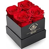 Impouo Rosenbox,Infinity Rosen,Konservierte Rose, Ewige Rose,Geburtstagsgeschenke FüR Frauen,...