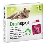 Bayer Dronspot Kat Spot On-L 5-8KG 2 PIP