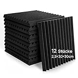 Fstop Labs 12 Stücke Akustikschaumstoff, 2,5x30x30 cm, 3D Hochdichte Schallabsorber Wand,...