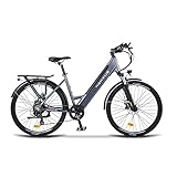 nakxus 26M208 E-Bike, Elektrofahrrad 26'' Trekkingrad E-Cityrad mit 36V 12,5Ah Lithium-Akku für...
