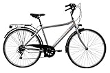 Discovery Denver Herren Trekkingrad Manhattan Herrenfahrrad (28 Zoll), Shimano 6 Gänge, Farbe...