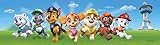 AG Design Paw Patrol Rescue Decorative Wall Border for Kids Bedroom, 5m x 14cm, WBD 8161,...