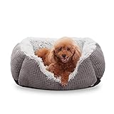 FURTIME Ergonomisches Hundekissen Orthopädisches Hundebett M