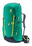 deuter Climber Kinder Alpinrucksack (22 L), Fern-ink