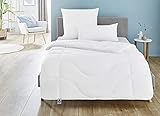 Irisette Micro Thermo 4-Jahreszeitendecke, Steppbett mit Bezug aus softer Microfaser für alle...