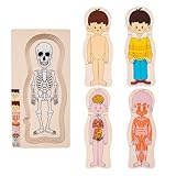 Puzzle-Spielzeug zur menschlichen Anatomie – Lernbrett für die Körperstruktur aus Holz,...