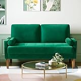 Meskanu Couch 2 Sitzer, 121 cm Samt Kleines Sofa mit 2 Wurfkissen, Modern Mini Sofa, Getuftetes...