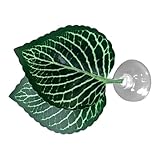 Aquarium Betta Leaf Hammock - Bequemes Fischkissen, Realistisches Ruhebett | Leichte Tankdekoration...
