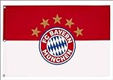 FC Bayern Hiss Fahne Originalware Flagge 180 x 120 cm Motiv Logo mit 3 Ösen