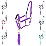 Majestic Ally Halfter mit Führstrick für Pferde – verstellbares Kinn und Krone – gerollter...